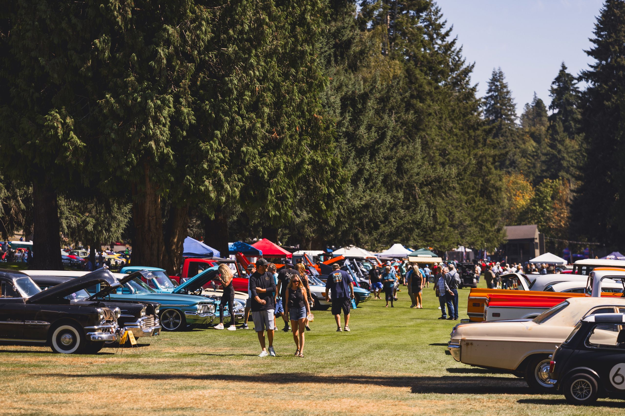 Cool August Nights 2025 - Image 8